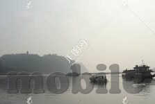 大象视频大全高清观看-探索大象视频大全高清观看的奇妙之旅