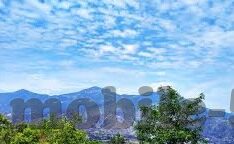 麻豆破解版app-认知的边界，理性面对网络文化与消遣形式的多样性