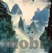 麻豆视频免费在线-探讨麻豆视频的免费在线观看体验及其影响
