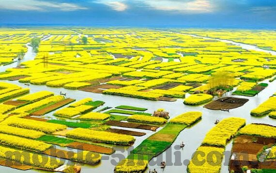 亚洲国产精品乱码一区二区-探索亚洲文化多样性的独特视角，从国产影视的多元发展谈起